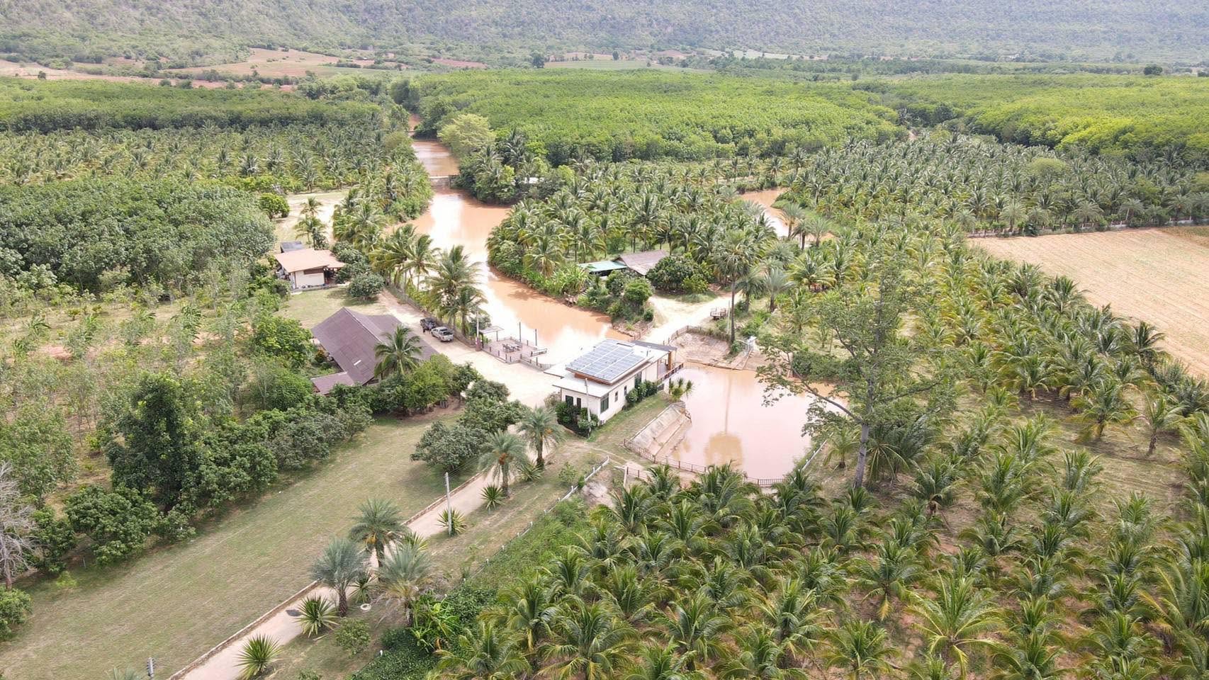Aerial view of Cocoa Farm Lam Takhong: buildings, a pond, solar panels and orchards with hills behind