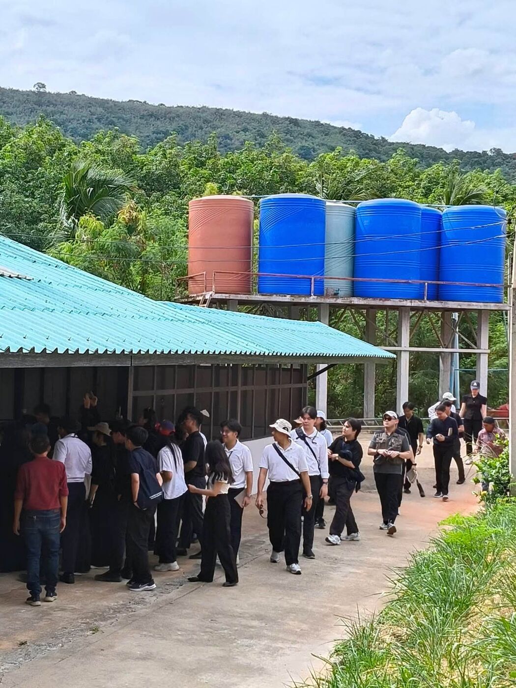 A large student group arriving at the farm with hills behind